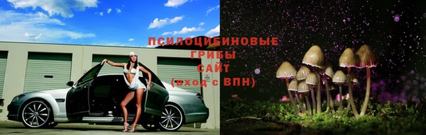 СК Заволжье
