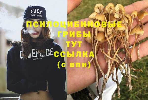 СК Заволжье